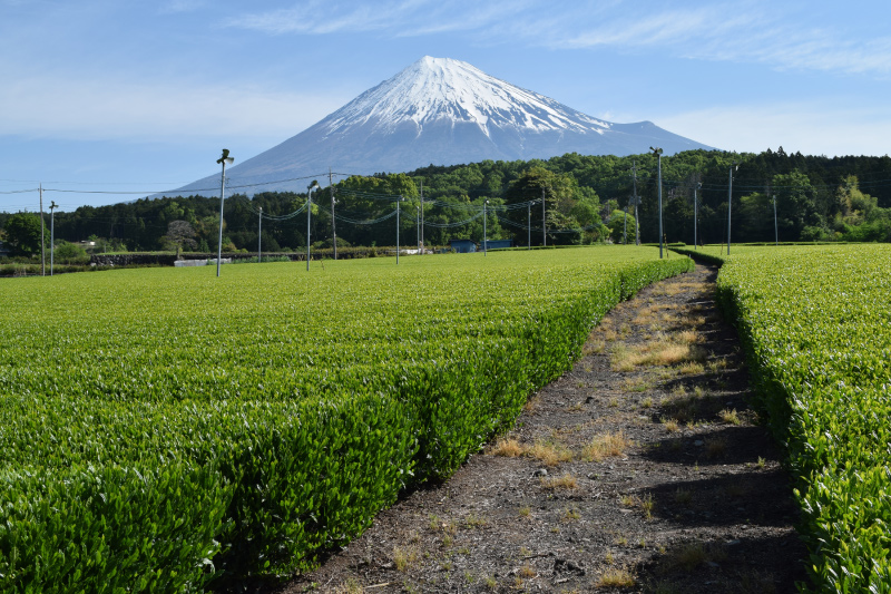 製造コンセプト