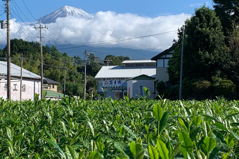 販売コンセプト